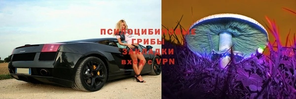 спиды Алзамай