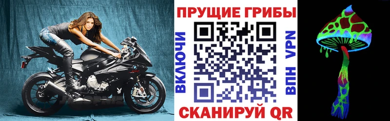 Галлюциногенные грибы ЛСД  сколько стоит  Тамбов 